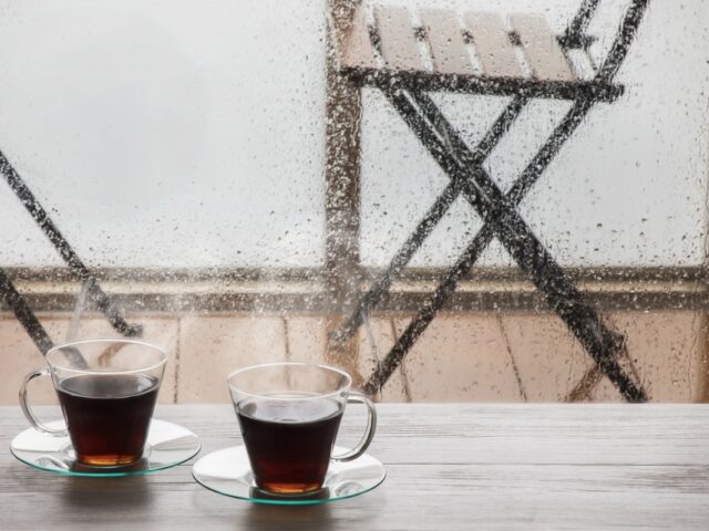 What Should You Order at a Coffee Shop on a Rainy Day in Verona, WI?